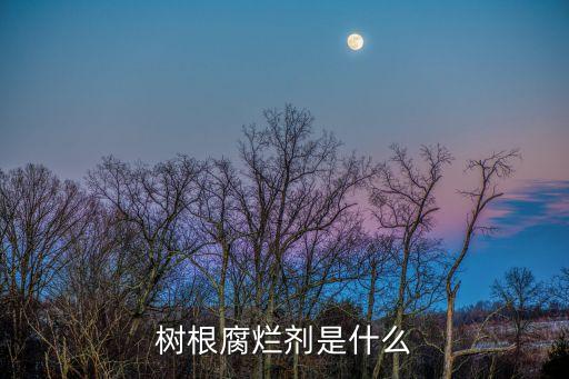 樹根腐爛劑是什么