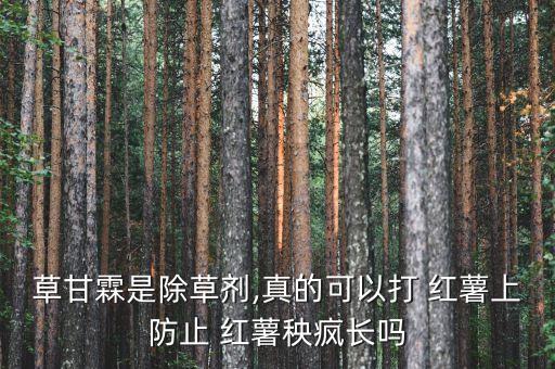 草甘霖是除草劑,真的可以打 紅薯上防止 紅薯秧瘋長(zhǎng)嗎