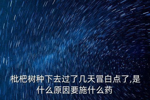 小區(qū)枇杷樹打農(nóng)藥嗎,枇杷樹用什么農(nóng)藥好