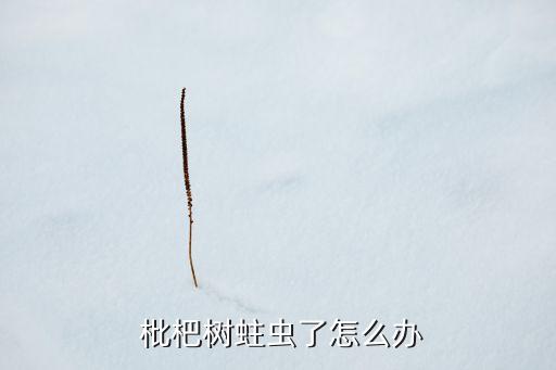 ,枇杷樹可以用什么農藥殺菌