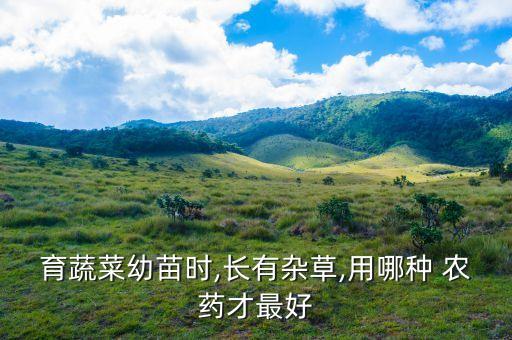 育蔬菜幼苗時,長有雜草,用哪種 農藥才最好