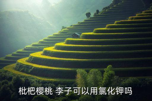 枇杷櫻桃 李子可以用氯化鉀嗎