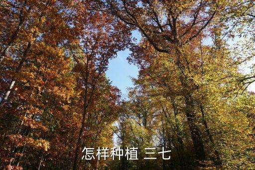 ,采三七花后打什么農(nóng)藥