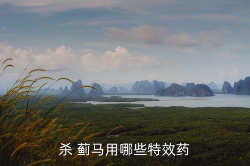 薊馬用什么能徹底殺死,什么農(nóng)藥可殺死薊馬蟲子