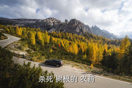  殺死 樹根的 農藥