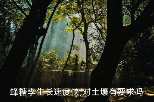 蜂糖李生長速度快,對土壤有要求嗎