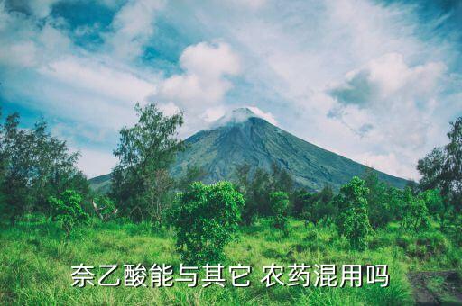 水稻農藥什么時間打效果最好,水稻寖種用什么農藥