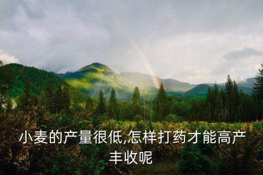  小麥的產量很低,怎樣打藥才能高產豐收呢