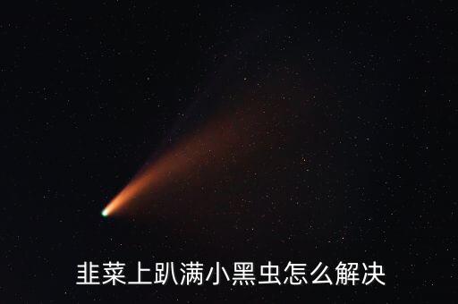  韭菜上趴滿小黑蟲怎么解決