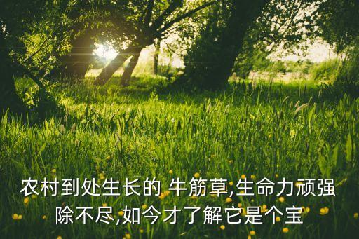 ,牛筋草用什么農(nóng)藥可以打死