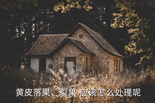 ,黃皮果樹噴什么農(nóng)藥