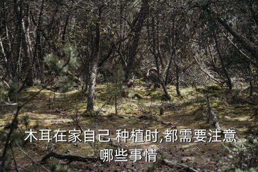 木耳在家自己 種植時,都需要注意哪些事情