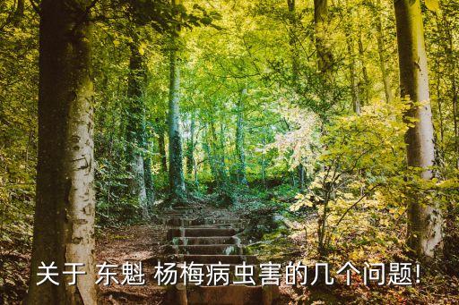 ,東魁楊梅噴灑什么農藥