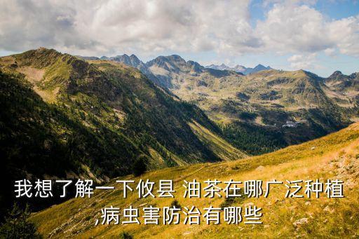 我想了解一下攸縣 油茶在哪廣泛種植,病蟲害防治有哪些