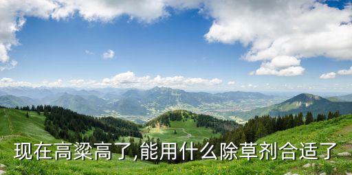現在高粱高了,能用什么除草劑合適了