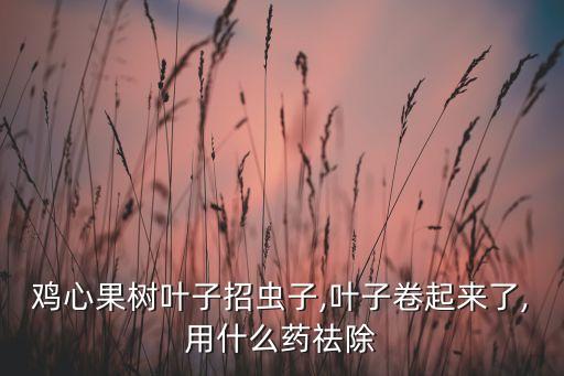 雞心果樹葉子招蟲子,葉子卷起來了,用什么藥祛除