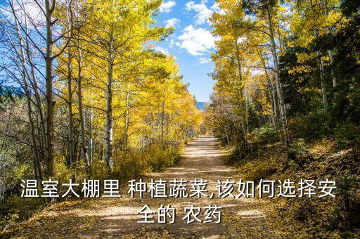 去果蔬用什么去農(nóng)藥最好,果蔬種植用什么農(nóng)藥最好