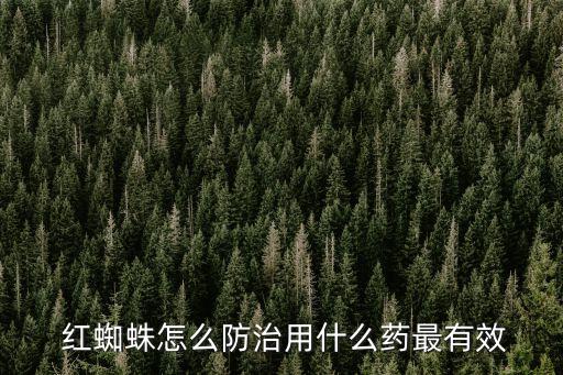  紅蜘蛛怎么防治用什么藥最有效