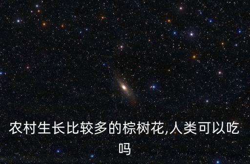農村生長比較多的棕樹花,人類可以吃嗎