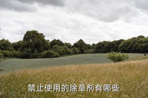 以下哪兩種農藥是蔬菜生產禁用的農藥,什么農藥是禁用農藥