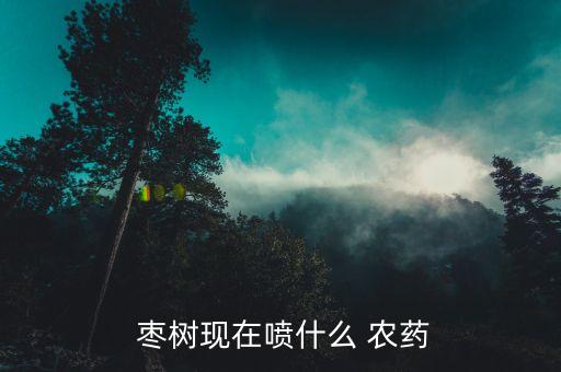  棗樹現(xiàn)在噴什么 農(nóng)藥
