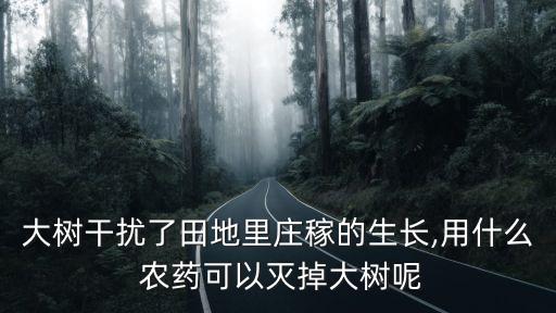 大樹干擾了田地里莊稼的生長,用什么 農(nóng)藥可以滅掉大樹呢