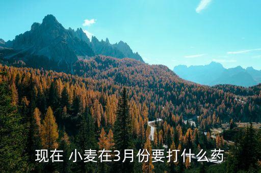小麥打幾次農藥,農藥小麥打什么藥好
