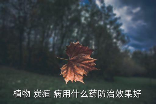 急性炭疽病用什么農(nóng)藥,炭疽病用什么農(nóng)藥最好好