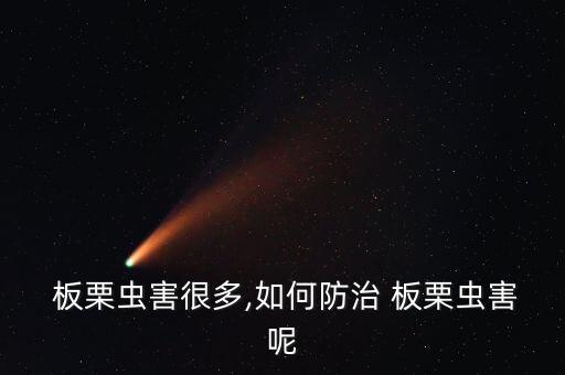 板栗肉心蟲打什么農藥