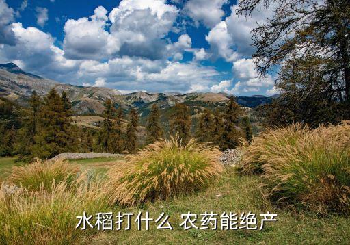 什么是水稻單打農(nóng)藥,什么農(nóng)藥對水稻傷害最大