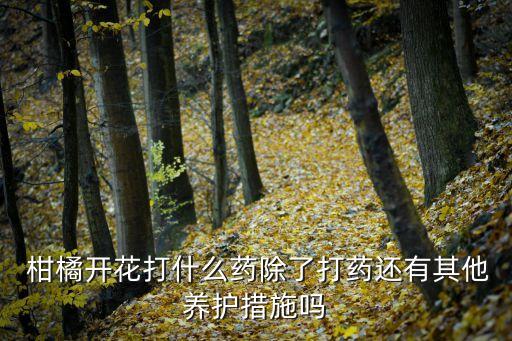  柑橘開花打什么藥除了打藥還有其他養(yǎng)護(hù)措施嗎