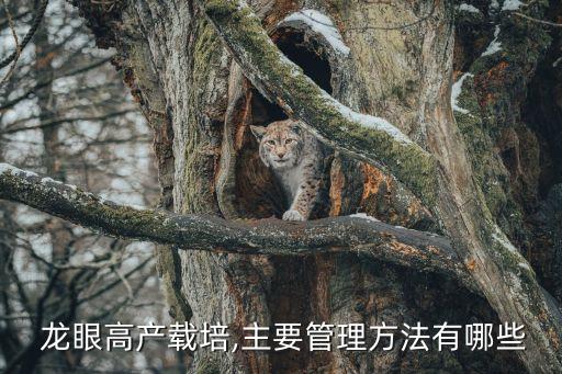  龍眼高產載培,主要管理方法有哪些