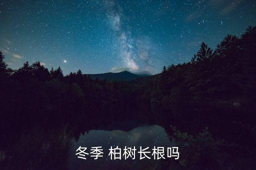 冬季 柏樹長根嗎