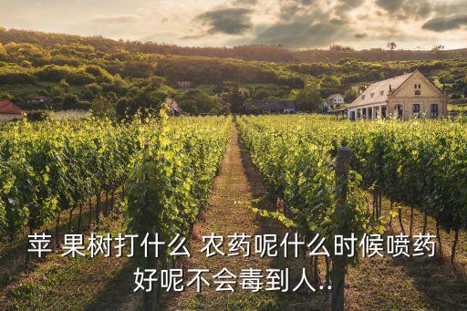 蘋 果樹打什么 農藥呢什么時候噴藥好呢不會毒到人..