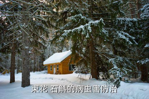 ,石斛需要什么農藥消毒最好