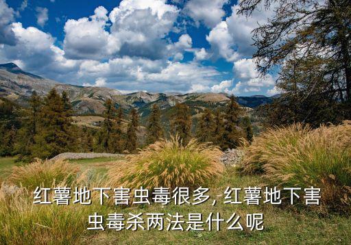  紅薯地下害蟲毒很多, 紅薯地下害蟲毒殺兩法是什么呢