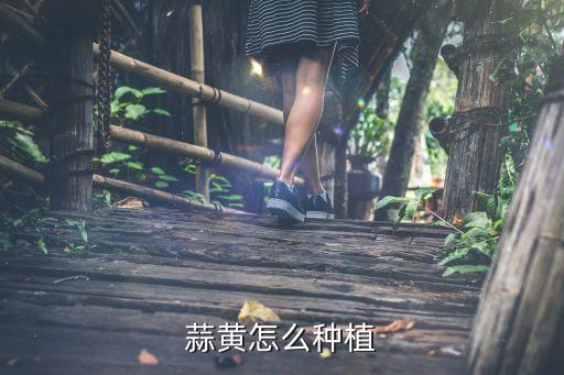 蒜黃種植需要農藥嗎?,蒜黃什么農藥