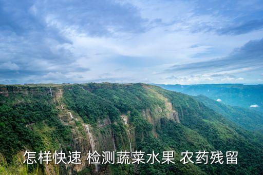 怎樣快速 檢測蔬菜水果 農(nóng)藥殘留