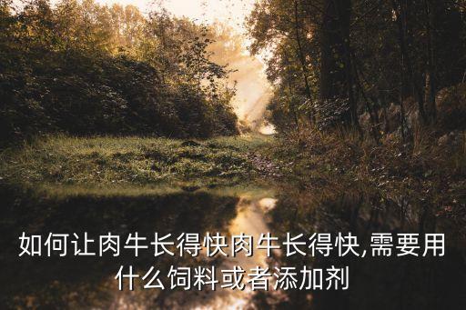 如何讓肉牛長(zhǎng)得快肉牛長(zhǎng)得快,需要用什么飼料或者添加劑