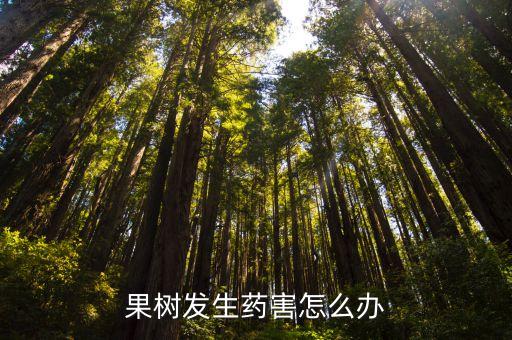 果樹發生藥害怎么辦