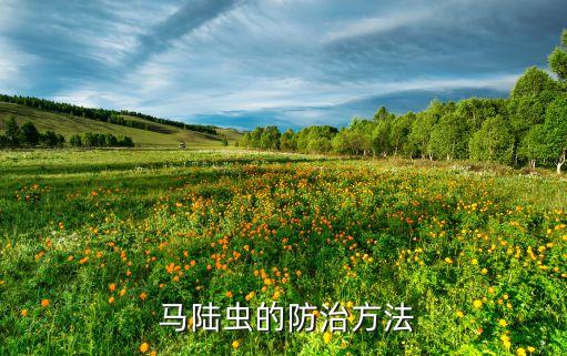 螺絲蟲最怕什么農藥,馬陸蟲怕什么農藥