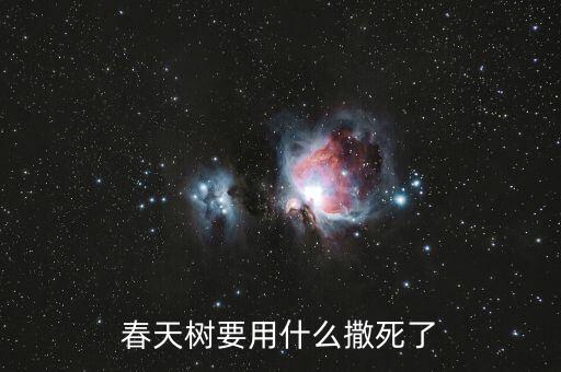 春天樹要用什么撒死了