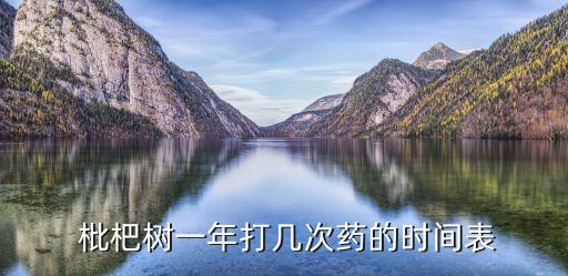  枇杷樹一年打幾次藥的時間表