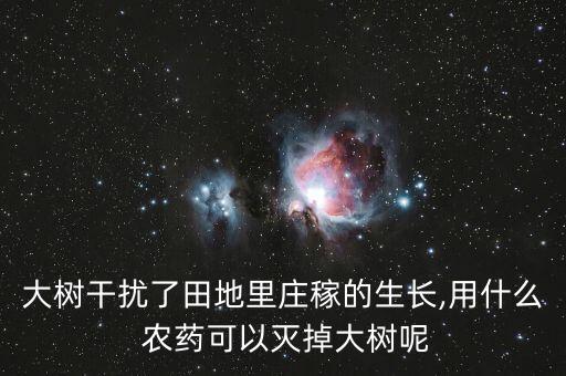 大樹干擾了田地里莊稼的生長,用什么 農藥可以滅掉大樹呢
