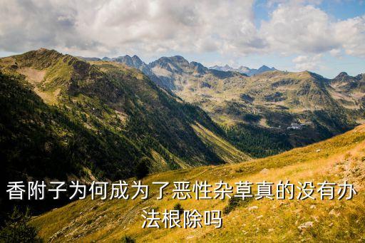 香附子為何成為了惡性雜草真的沒有辦法根除嗎
