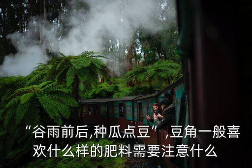,瓜豆上粉用什么農藥