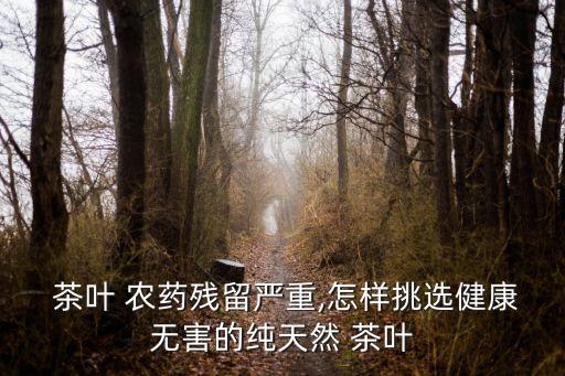  茶葉 農藥殘留嚴重,怎樣挑選健康無害的純天然 茶葉