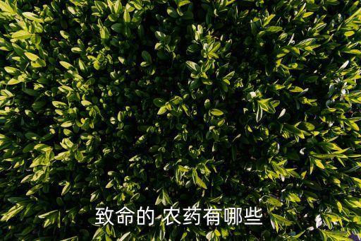 農藥傷害的是人的什么器官,什么農藥傷害莊家