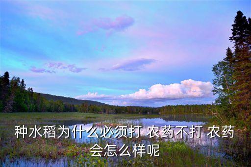大米有農(nóng)藥味什么原因,種大米用什么農(nóng)藥最好用