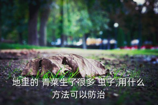 ,青菜有硬蟲子打什么農藥
